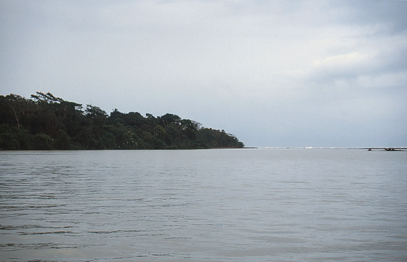 9_Riviermonding, Tortuguero.jpg